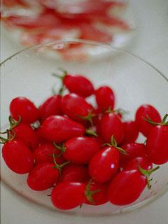 tomato_2