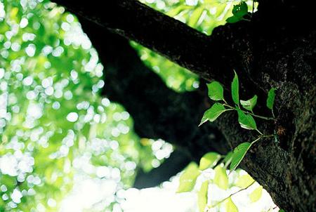 image_0726_2 image_0726_2