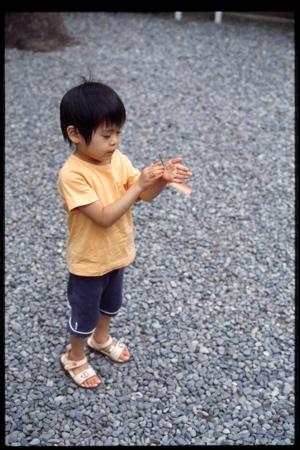 sora_taketonbo sora_taketonbo